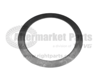 42129014 Winch Disc Spring